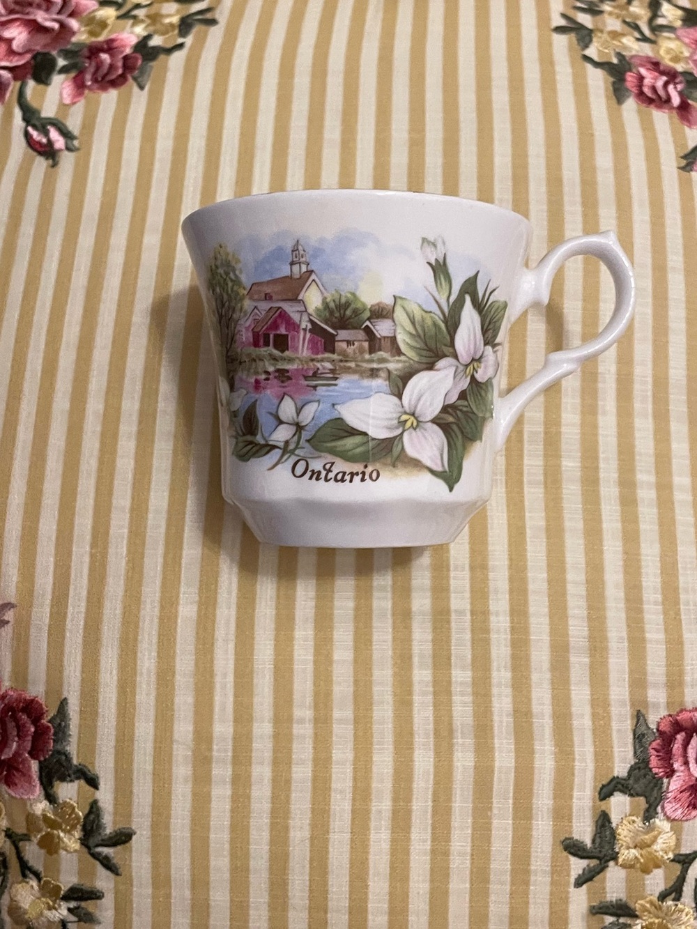 Vintage Springfield Ontario Souvenir Teacup with Floral Scene
